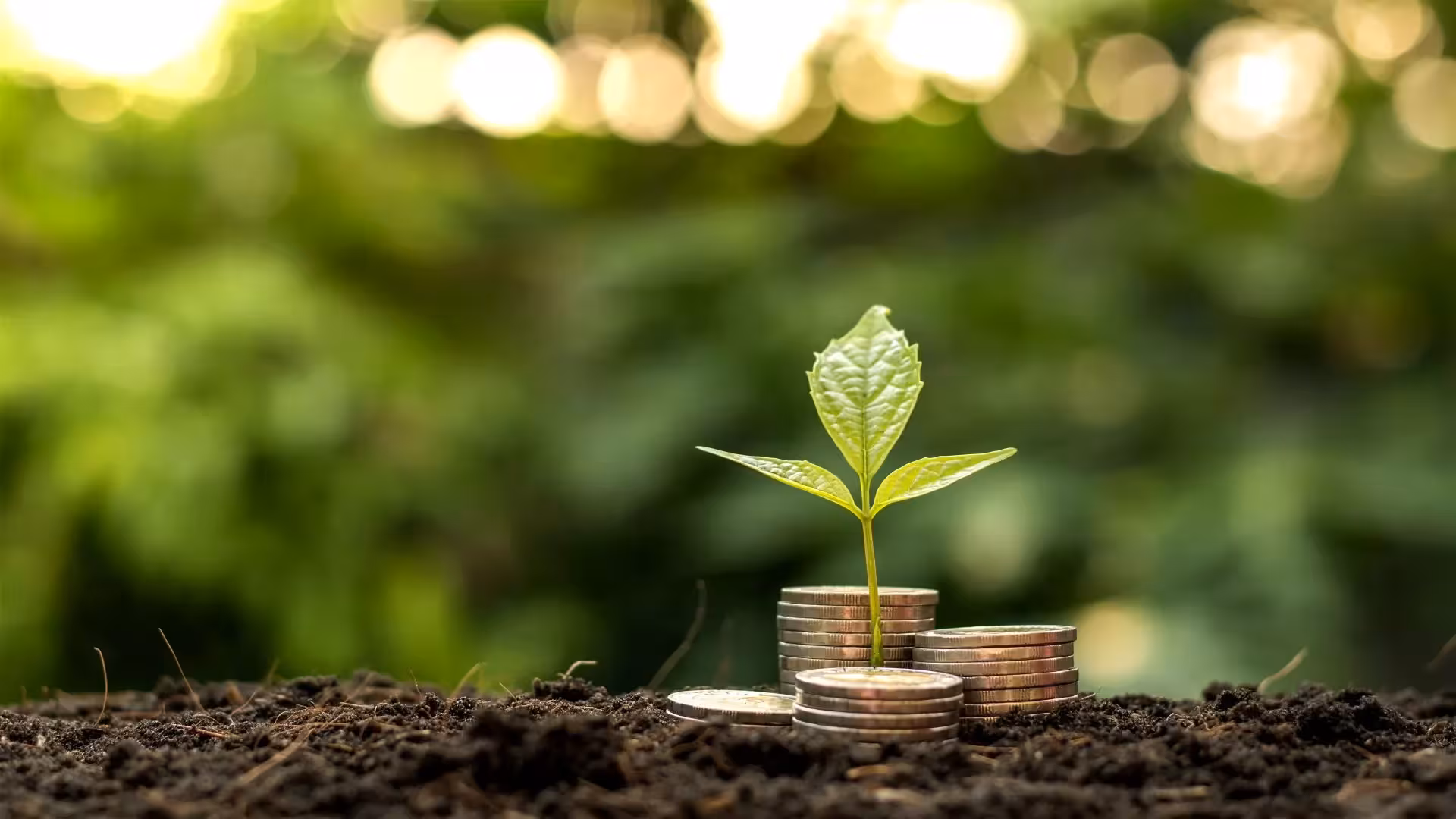 Getting Started With Investing