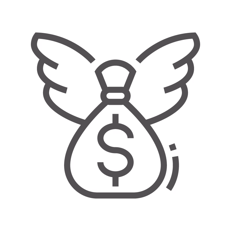 Money Icon