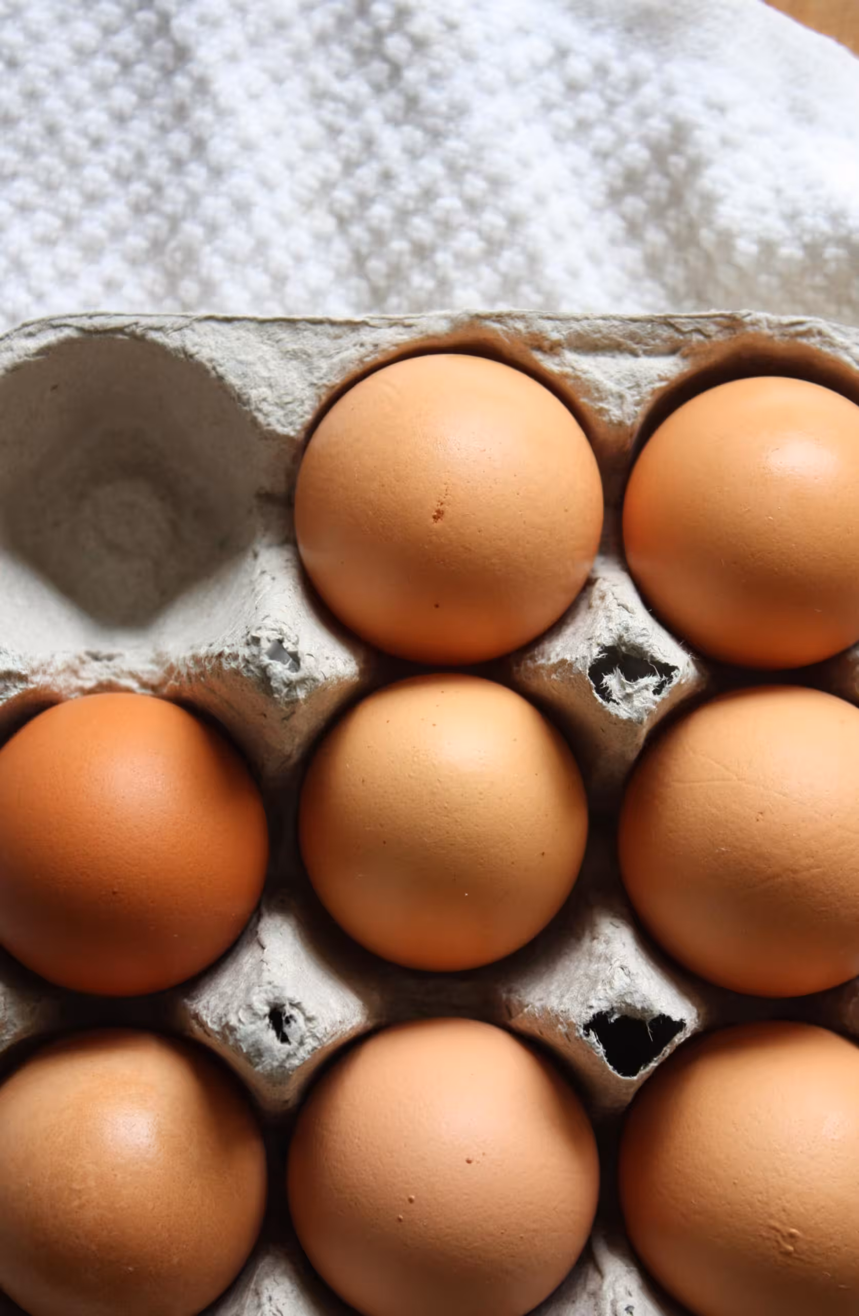 Carton of brown eggs