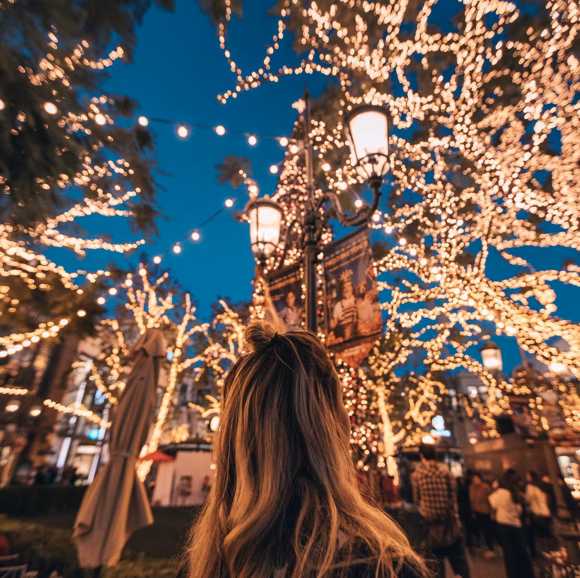 Christmas Lights